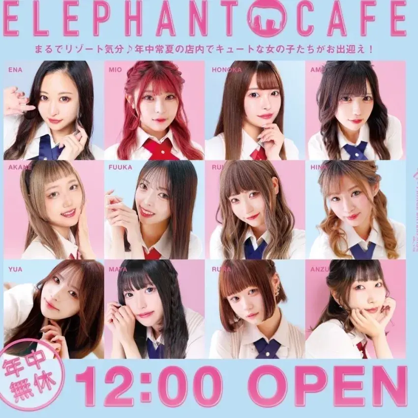 札幌 すすきの エレファントカフェ 小物入れ ニュークラブ ガールズバー elephant cafe|札幌市すすきの周辺